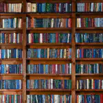 11 הספרים הטובים ביותר ללימוד אנגלית: המלצות חמות לישראלים